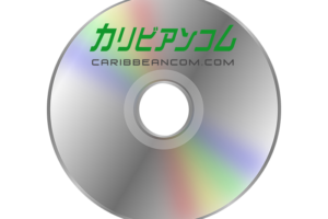 カリビアンコムの動画をDVDに焼く方法