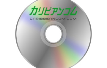 カリビアンコムの動画をDVDに焼く方法