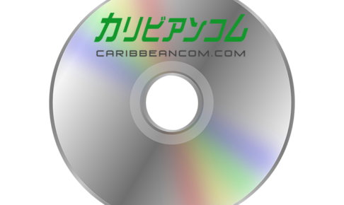 カリビアンコムの動画をDVDに焼く方法
