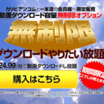 ダウンロード容量無制限オプション