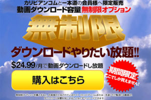 ダウンロード容量無制限オプション