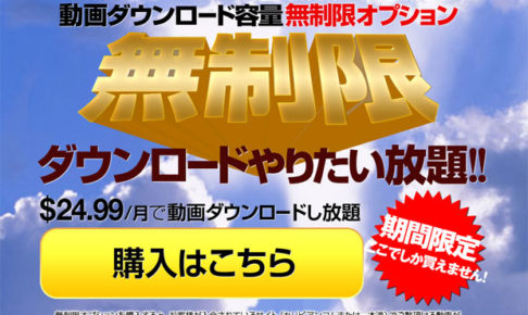 ダウンロード容量無制限オプション