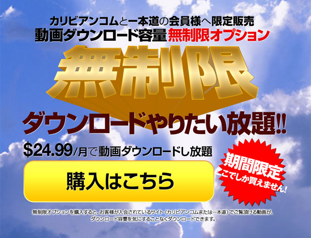 ダウンロード容量無制限オプション